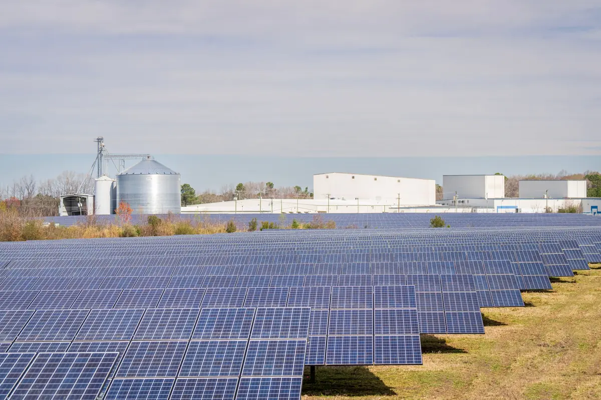 Rows of solar panels in a field